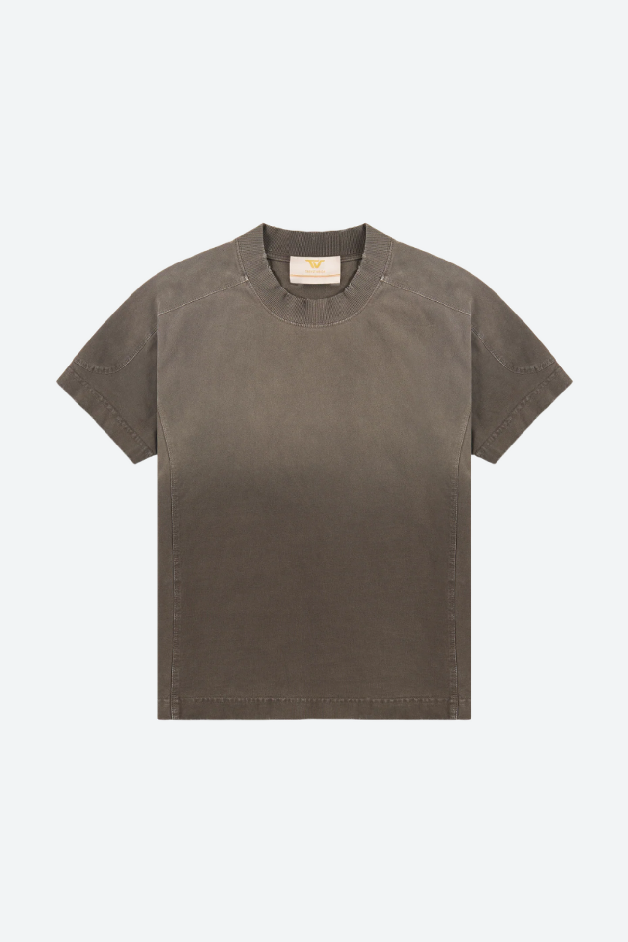 Brown Washed Slim Tee